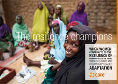 The resilience champions