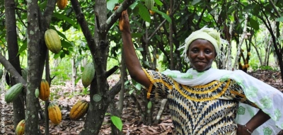 A cocoa farmer from Sikaboutou community