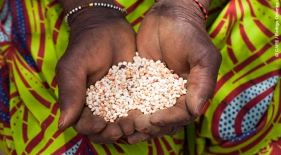 Maka Ali, a widow in Niger, holding sorghum. During her life, four of her children have died at an early age. "I was alone taking care of them, so I cannot say their deaths weren't related to lack of food," she says.