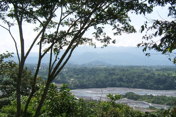 The Ecuadorian Amazon rainforest. © CARE / Kate Ives 2007  