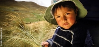 Are you looking for development insights?