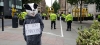What was this badger doing outside the Conservative Party Conference?
