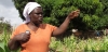  “With the cash transfer ... my family survived the drought so far,