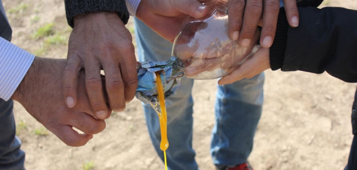 The gap in humanitarian programming